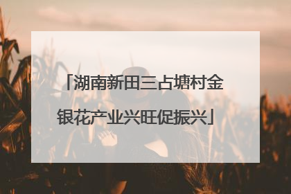 湖南新田三占塘村金银花产业兴旺促振兴
