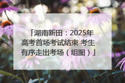 湖南新田：2025年高考首场考试结束 考生有序走出考场（组图）