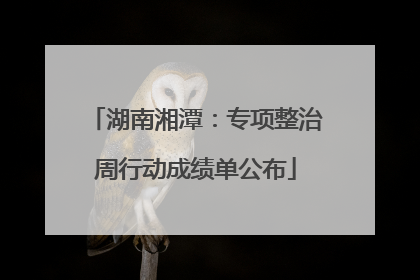 湖南湘潭：专项整治周行动成绩单公布
