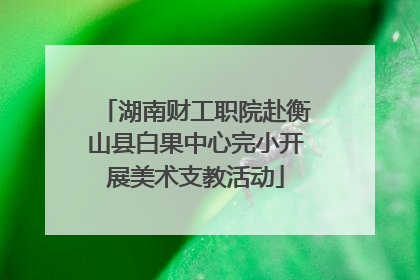 湖南财工职院赴衡山县白果中心完小开展美术支教活动