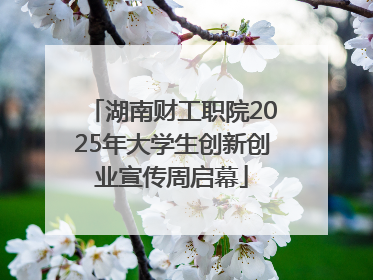 湖南财工职院2025年大学生创新创业宣传周启幕