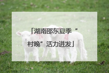 湖南邵东夏季“村晚”活力迸发