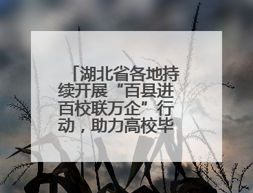 湖北省各地持续开展“百县进百校联万企”行动，助力高校毕业生就业