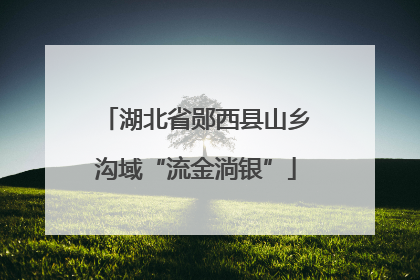 湖北省郧西县山乡沟域“流金淌银”