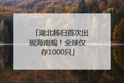 湖北秭归首次出现海南鳽！全球仅存1000只