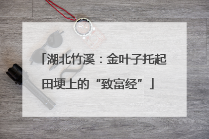 湖北竹溪：金叶子托起田埂上的“致富经”