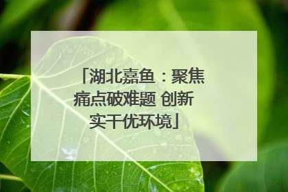 湖北嘉鱼：聚焦痛点破难题 创新实干优环境