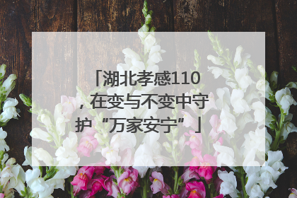 湖北孝感110，在变与不变中守护“万家安宁”
