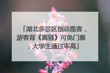 湖北多景区创意揽客，游客背《离骚》可免门票，大学生通过率高