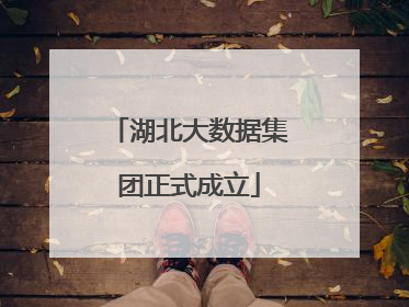 湖北大数据集团正式成立
