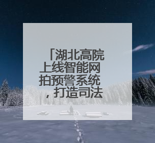 湖北高院上线智能网拍预警系统，打造司法拍卖“防火墙”