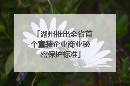 湖州推出全省首个童装企业商业秘密保护标准