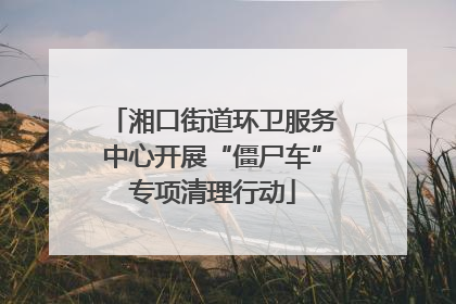 湘口街道环卫服务中心开展“僵尸车”专项清理行动