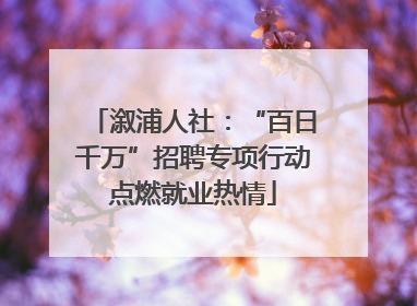溆浦人社：“百日千万”招聘专项行动点燃就业热情