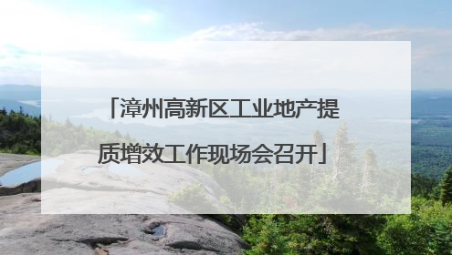 漳州高新区工业地产提质增效工作现场会召开