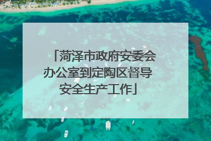 菏泽市政府安委会办公室到定陶区督导安全生产工作