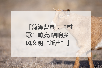 菏泽曹县：“村歌”嘹亮 唱响乡风文明“新声”