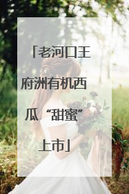 老河口王府洲有机西瓜“甜蜜”上市