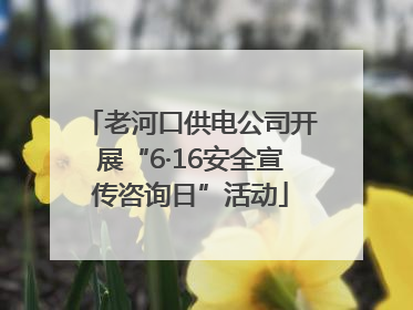 老河口供电公司开展“6·16安全宣传咨询日”活动