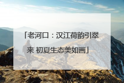 老河口：汉江荷韵引翠来 初夏生态美如画