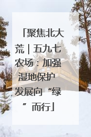 聚焦北大荒｜五九七农场：加强湿地保护 发展向“绿”而行