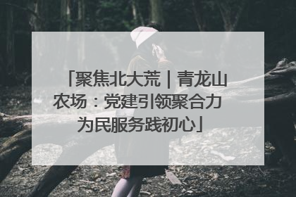 聚焦北大荒｜青龙山农场：党建引领聚合力 为民服务践初心
