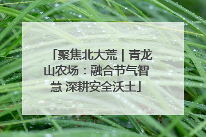 聚焦北大荒｜青龙山农场：融合节气智慧 深耕安全沃土