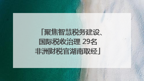 聚焦智慧税务建设、国际税收治理 29名非洲财税官湖南取经