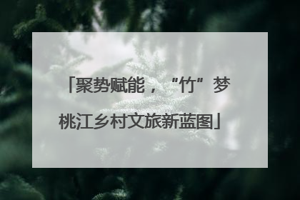 聚势赋能，“竹”梦桃江乡村文旅新蓝图