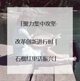 聚力集中攻坚·改革创新进行时｜石榴红里话振兴