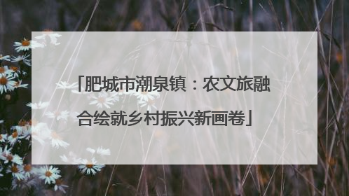 肥城市潮泉镇：农文旅融合绘就乡村振兴新画卷