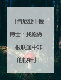 肯尼亚中医博士：我愿做一根联通中非的银针