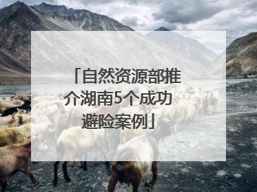 自然资源部推介湖南5个成功避险案例