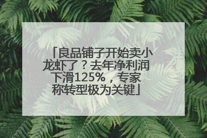良品铺子开始卖小龙虾了？去年净利润下滑125%，专家称转型极为关键