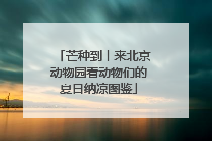 芒种到丨来北京动物园看动物们的夏日纳凉图鉴