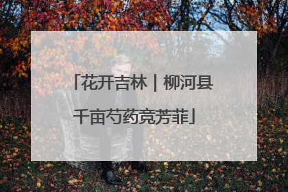花开吉林｜柳河县千亩芍药竞芳菲