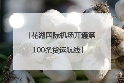花湖国际机场开通第100条货运航线