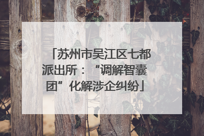 苏州市吴江区七都派出所：“调解智囊团”化解涉企纠纷