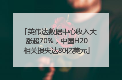 英伟达数据中心收入大涨超70%，中国H20相关损失达80亿美元