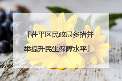 茌平区民政局多措并举提升民生保障水平