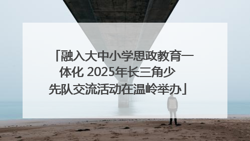 融入大中小学思政教育一体化 2025年长三角少先队交流活动在温岭举办