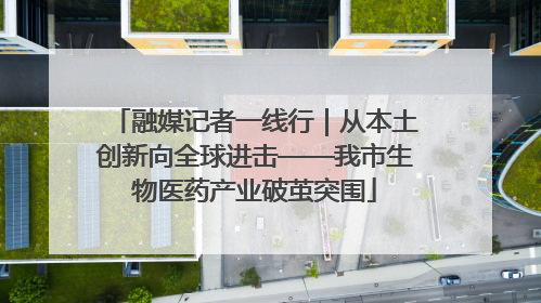 融媒记者一线行｜从本土创新向全球进击——我市生物医药产业破茧突围