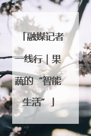 融媒记者一线行｜果蔬的“智能生活”