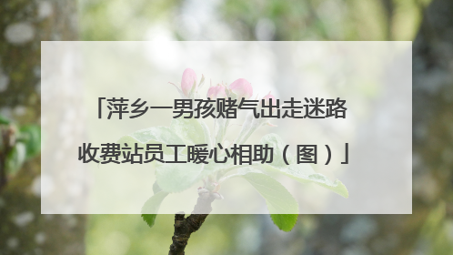 萍乡一男孩赌气出走迷路 收费站员工暖心相助（图）