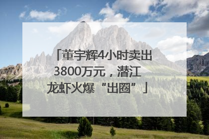 董宇辉4小时卖出3800万元，潜江龙虾火爆“出圈”