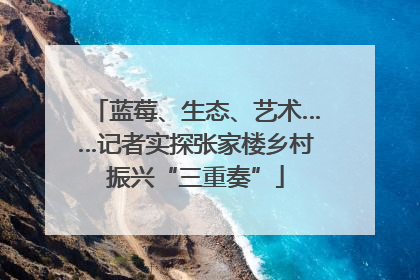 蓝莓、生态、艺术……记者实探张家楼乡村振兴“三重奏”