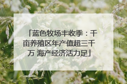 蓝色牧场丰收季：千亩养殖区年产值超三千万 海产经济活力足