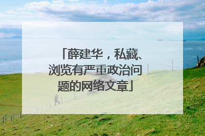 薛建华，私藏、浏览有严重政治问题的网络文章