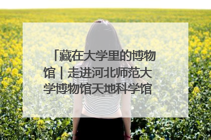 藏在大学里的博物馆｜走进河北师范大学博物馆天地科学馆：在校园里赴一场“宇宙之约”