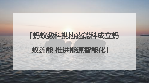 蚂蚁数科携协鑫能科成立蚂蚁鑫能 推进能源智能化
